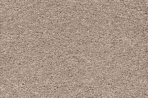 Ковролин AW Vivendi Punch 34 фото  | FLOORDEALER